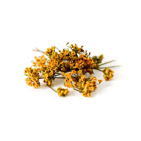 Dried Organic Edible Fennel Pollen