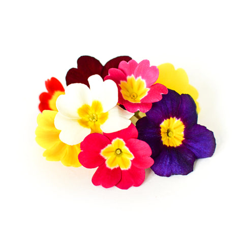 Primrose - Petite Ingredient