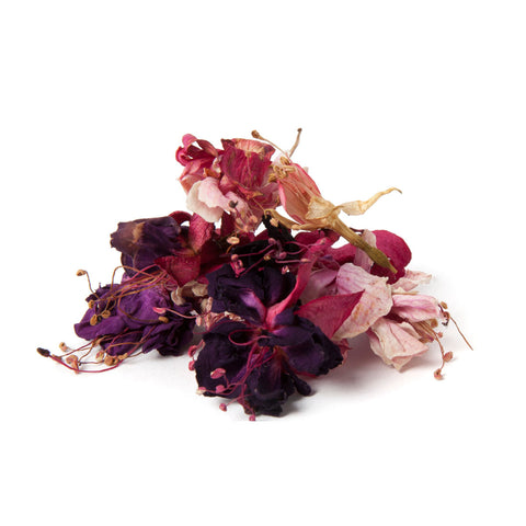 Dried Organic Edible Fuchsia - Petite Ingredient